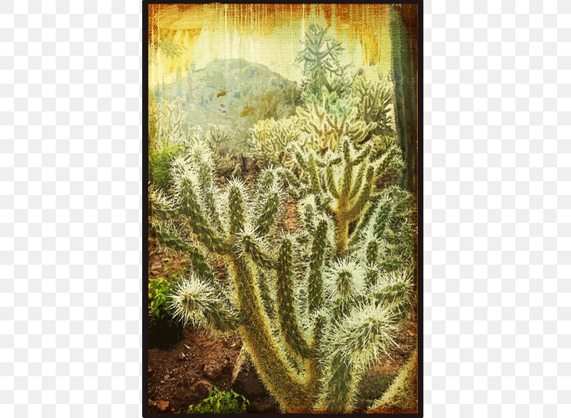 Cactaceae Painting Canvas Cylindropuntia Bigelovii Sorting Algorithm, PNG, 600x600px, Cactaceae, Art, Artist, Big O Notation, Biome Download Free