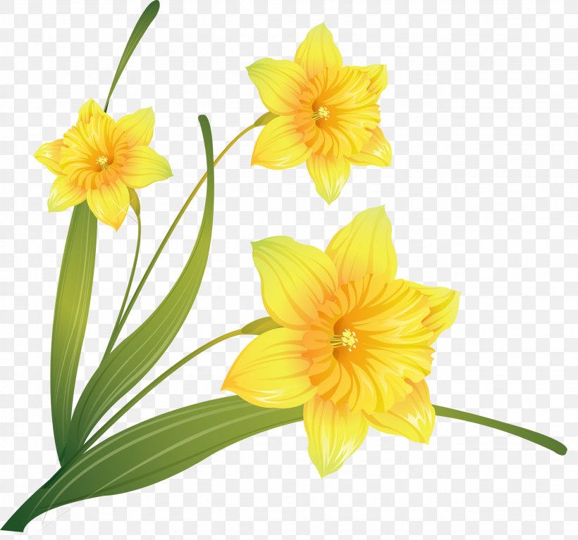 Daffodil Clip Art, PNG, 2671x2500px, Daffodil, Amaryllis Family, Cut Flowers, Daylily, Drawing Download Free