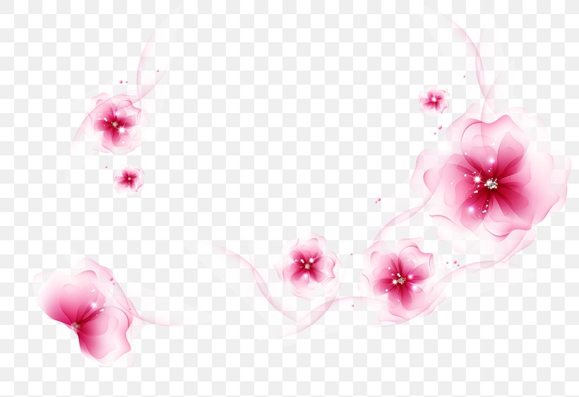 Desktop Wallpaper Flower Rose Floral Design Image, PNG, 800x562px, Flower, Blossom, Cherry Blossom, Cut Flowers, Floral Design Download Free