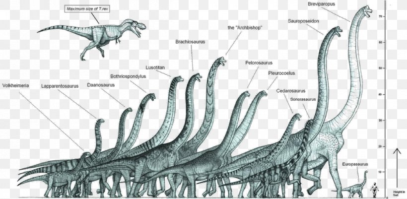 Dinosaur Size Brachiosaurus Ultrasaurus Sauroposeidon, PNG, 1200x587px, Dinosaur, Amphicoelias, Animal, Apatosaurus, Artwork Download Free
