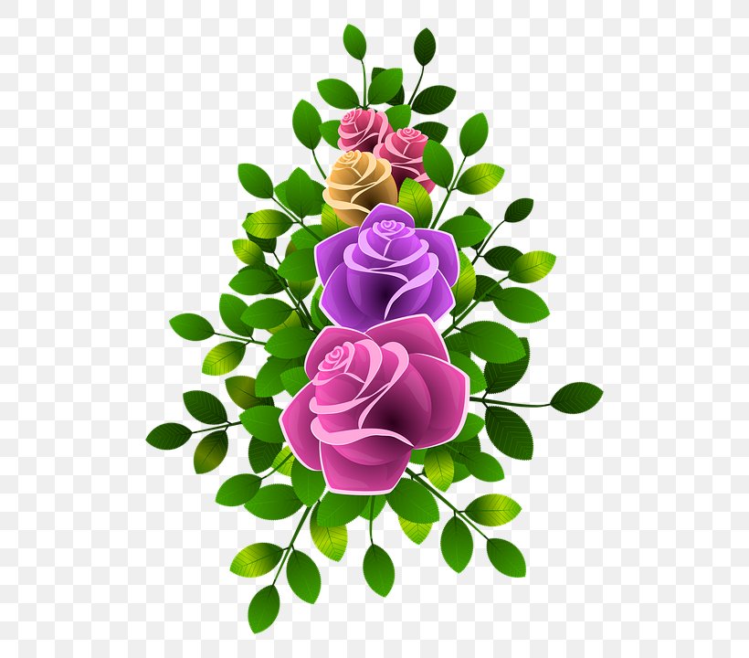 Garden Roses Centifolia Roses Flower Floral Design Petal, PNG, 580x720px, Garden Roses, Centifolia Roses, Cut Flowers, Floral Design, Floristry Download Free