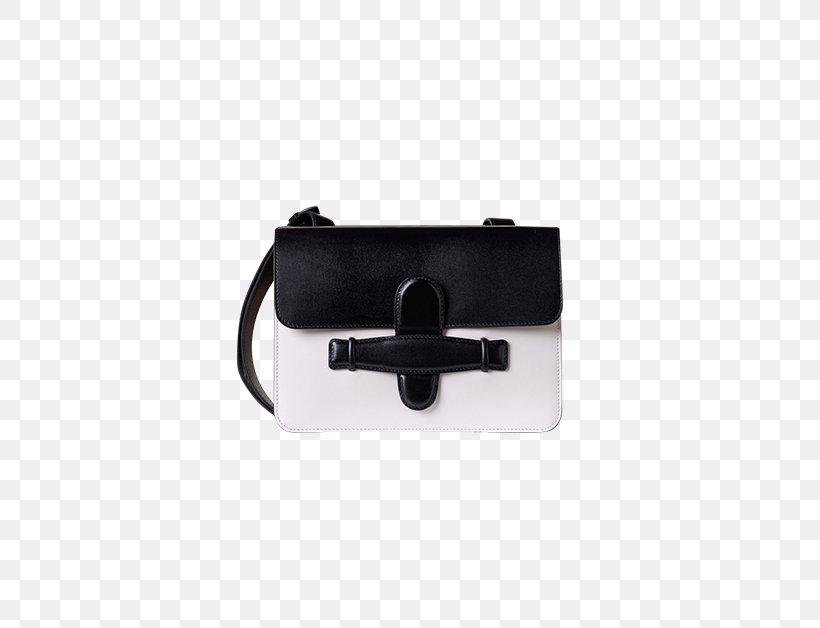 Handbag Celine Nikon D800E, PNG, 560x628px, Handbag, Bag, Black, Digital Cameras, Fashion Download Free