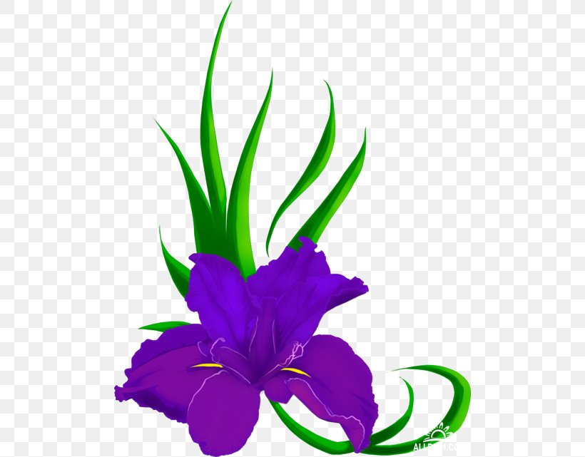 Northern Blue Flag Cut Flowers Iris Family Clip Art, PNG, 500x641px, Northern Blue Flag, Cut Flowers, Flora, Flower, Flower Bouquet Download Free
