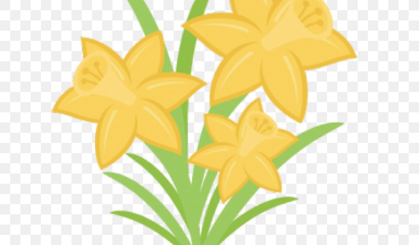Clip Art Free Content, PNG, 640x480px, Wild Daffodil, Daffodil, Flower, Flowering Plant, Narcissus Download Free
