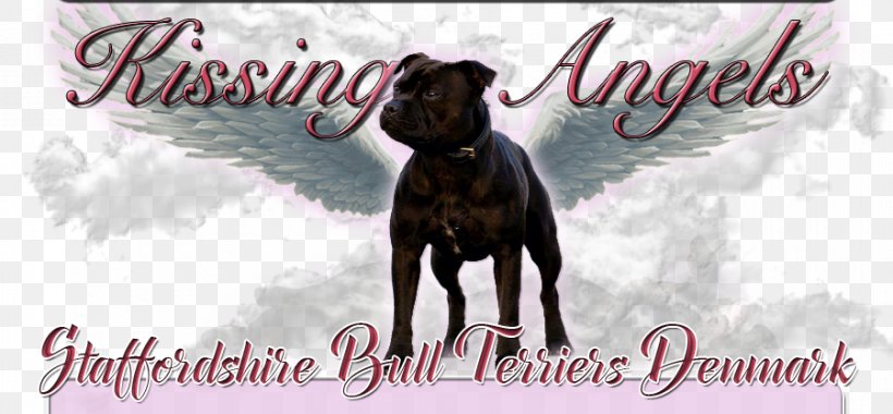 Dog Breed Boxer Staffordshire Bull Terrier American Staffordshire Terrier, PNG, 900x418px, Dog Breed, American Staffordshire Terrier, Boxer, Breed, Bull Download Free