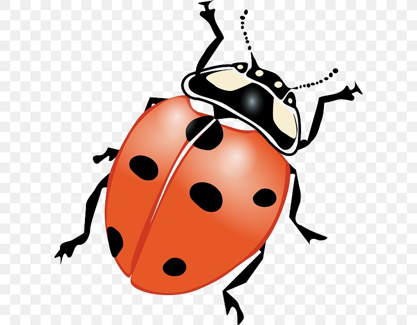 Drawing Ladybird Beetle Clip Art, PNG, 606x640px, Drawing, Artwork, Beetle, Insect, Invertebrate Download Free