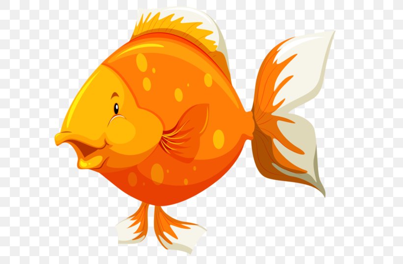Goldfish Fish Anatomy, PNG, 600x536px, Goldfish, Art, Beak, Bird, Cartoon Download Free