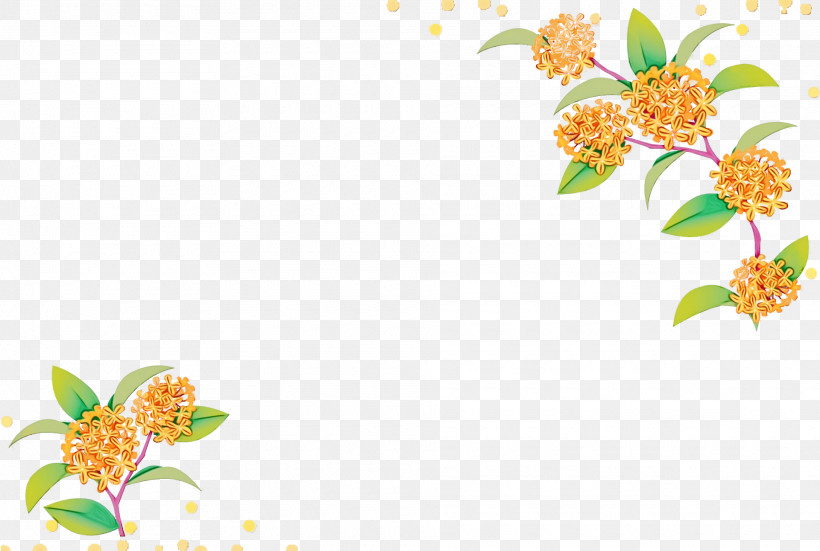 Floral Design, PNG, 1920x1292px, Watercolor, Computer, Floral Design, Insect, Leaf Download Free