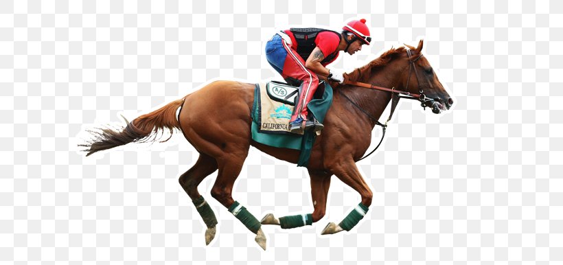 Horse Preakness Stakes Belmont Park The Kentucky Derby 2014 Belmont Stakes, PNG, 665x386px, Horse, Animal Sports, Australian Racing Board, Belmont Park, Belmont Stakes Download Free