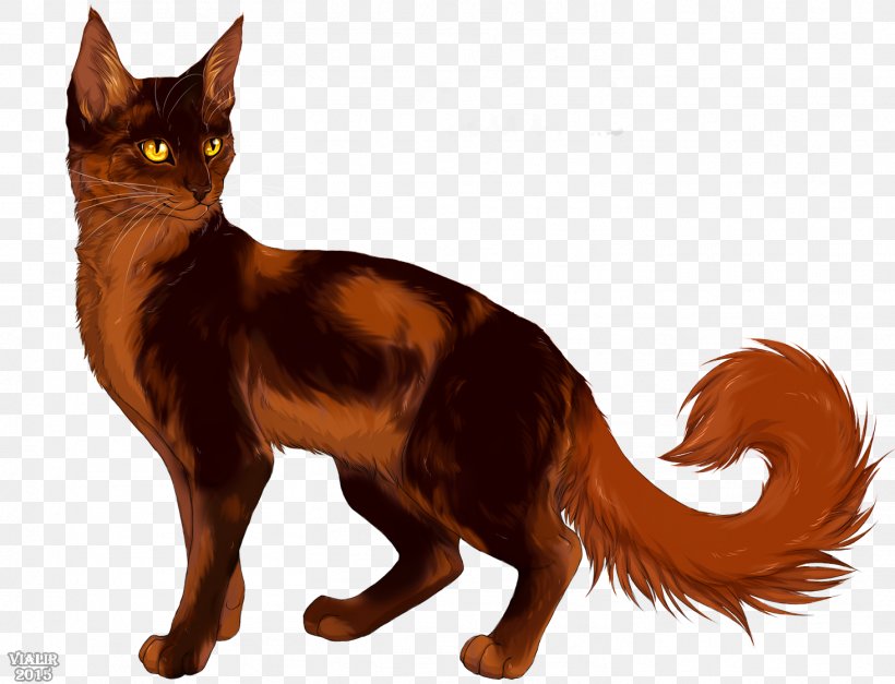 Into The Wild Cat Warriors Tigerstar Darkstripe, PNG, 1464x1121px, Into The Wild, American Wirehair, Asian, Brindleface, Carnivoran Download Free