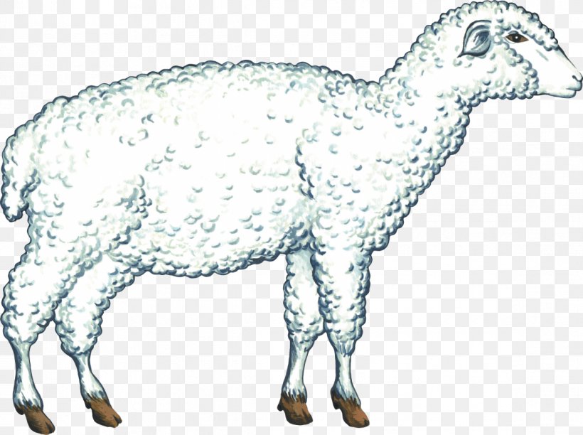 Sheep Cattle Alpine Goat Boer Goat Saanen Goat, PNG, 1168x873px, Sheep, Alpine Goat, Animal, Animal Figure, Boer Goat Download Free
