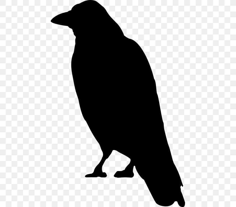 Silhouette Crow Clip Art, PNG, 467x720px, Silhouette, Art, Beak, Bird, Black And White Download Free