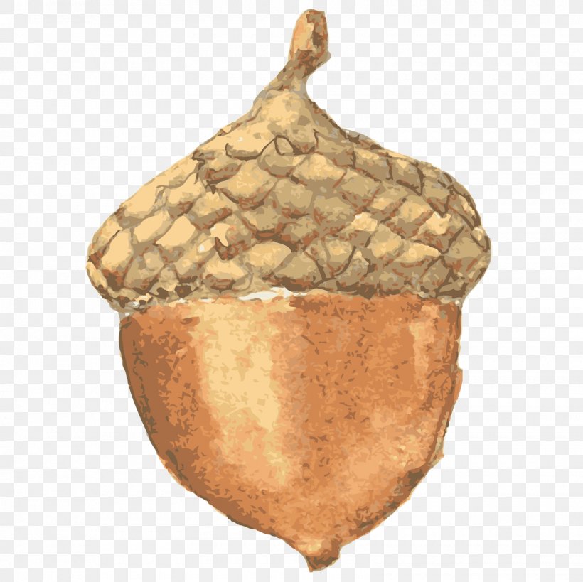 Acorn Sticker Nut Clip Art, PNG, 1600x1600px, Acorn, Commodity, Food, Nut, Nuts Seeds Download Free