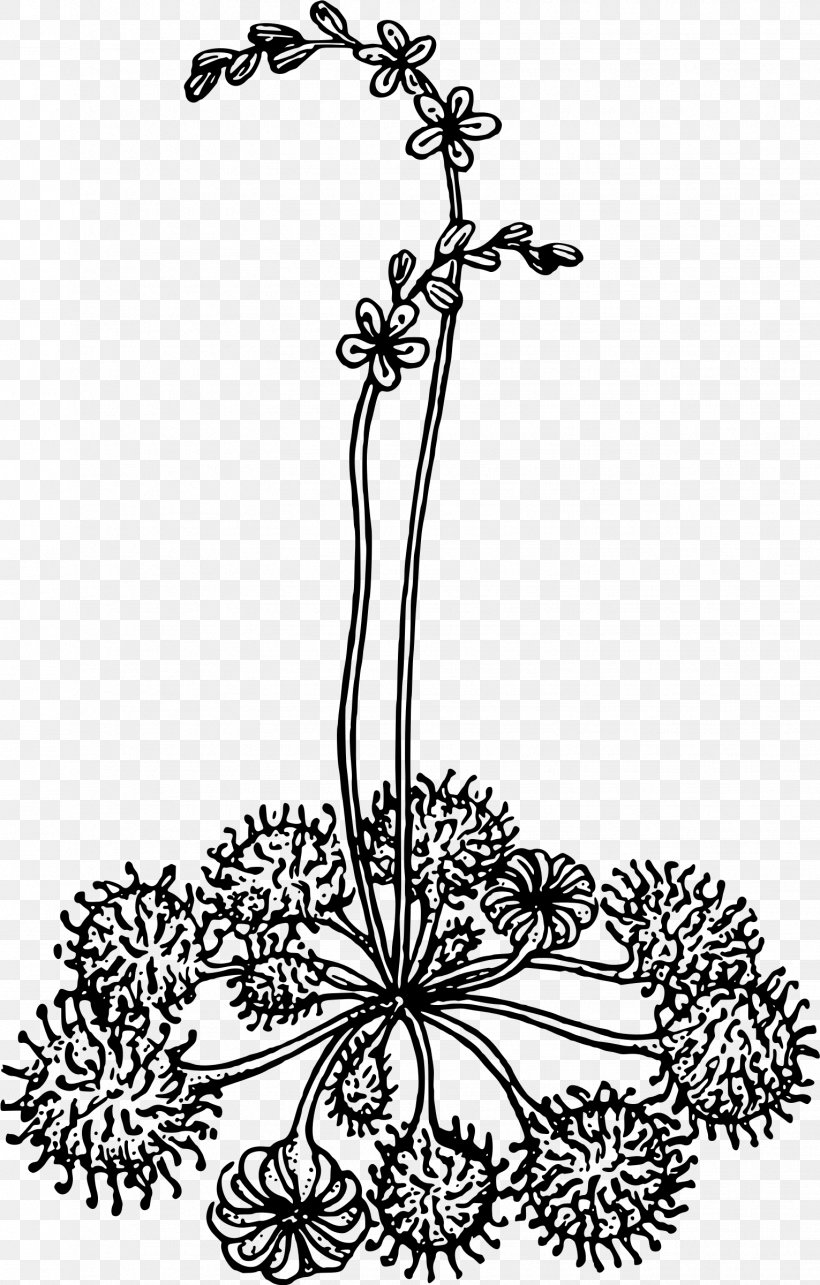 Floral Design Visual Arts Monochrome Leaf, PNG, 1531x2400px, Floral Design, Art, Black And White, Body Jewellery, Body Jewelry Download Free