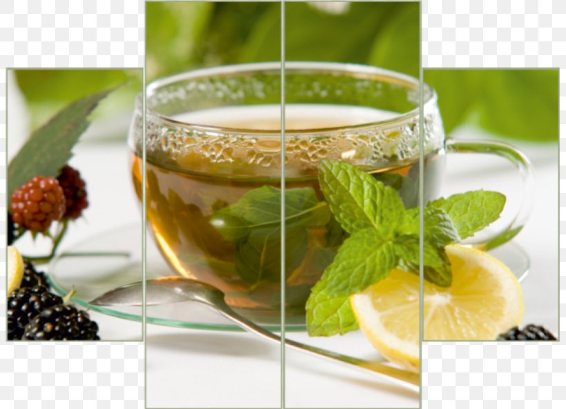 Green Tea Tea Plant Herbal Tea International Tea Day, PNG, 803x593px, Green Tea, Aufguss, Berry, Black Tea, Blackberry Download Free