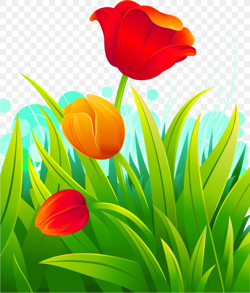 Indira Gandhi Memorial Tulip Garden Euclidean Vector Clip Art, PNG, 2244x2625px, Indira Gandhi Memorial Tulip Garden, Coreldraw, Floral Design, Floristry, Flower Download Free