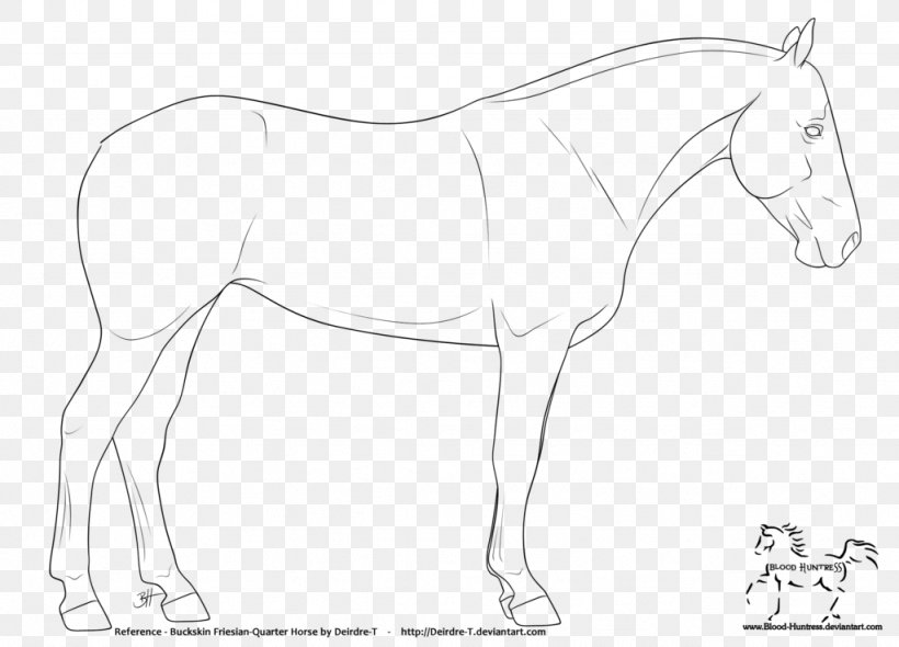 Mule American Quarter Horse Friesian Horse Mustang Foal, PNG, 1024x737px, Mule, American Quarter Horse, Animal Figure, Arm, Artwork Download Free