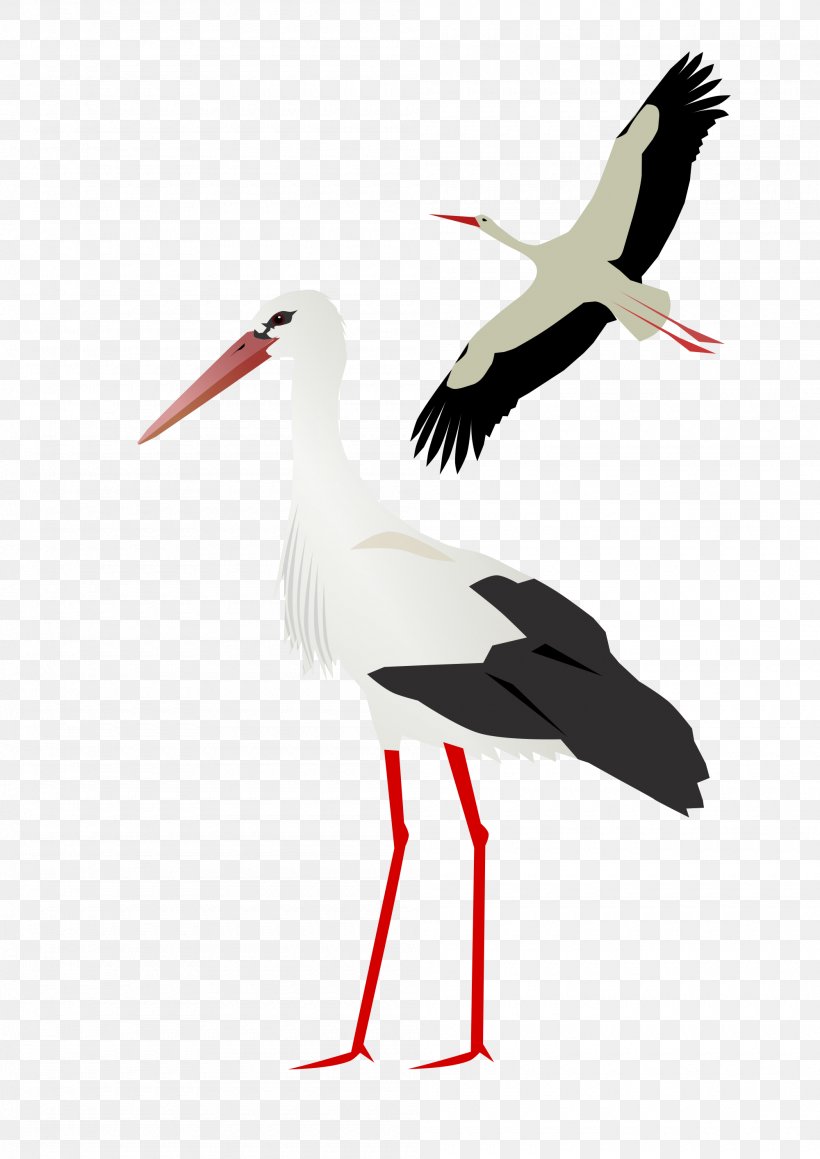 White Stork, PNG, 2000x2828px, White Stork, Beak, Bird, Ciconia, Ciconiiformes Download Free