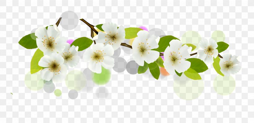 Flower Euclidean Vector White Banner, PNG, 3399x1646px, Flower, Banner, Blossom, Branch, Cherry Blossom Download Free