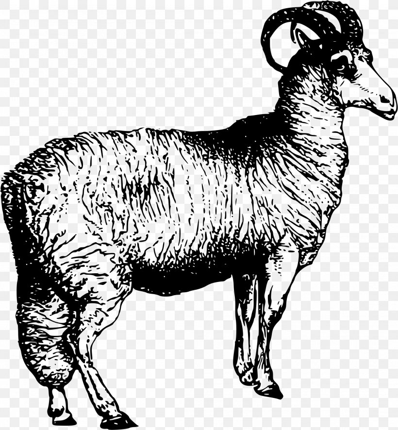 Leicester Longwool Welsh Mountain Sheep Merino Sheep Shearing, PNG, 2221x2400px, Leicester Longwool, Animal Figure, Argali, Black And White, Camel Like Mammal Download Free