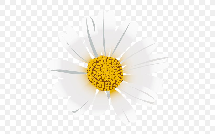 Roman Chamomile Dandelion Flower Oxeye Daisy Chrysanthemum, PNG, 512x512px, Roman Chamomile, Chamaemelum, Chamaemelum Nobile, Chrysanthemum, Chrysanths Download Free