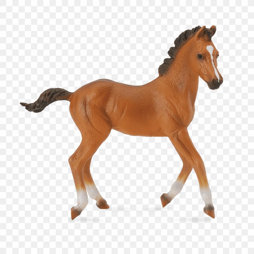 American Quarter Horse Foal American Paint Horse Clydesdale Horse Mare, PNG, 1024x1024px, American Quarter Horse, American Paint Horse, Animal Figure, Bay, Bridle Download Free