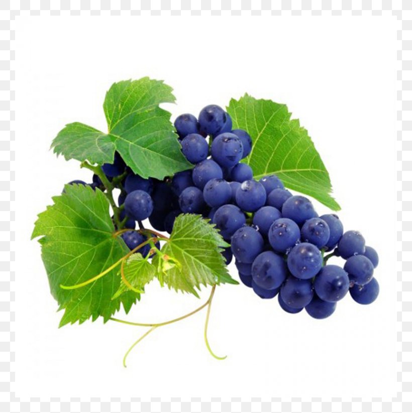 Coupon Wine Grape Cabernet Franc Drink, PNG, 760x822px, Coupon, Berry, Bilberry, Blueberry, Cabernet Franc Download Free