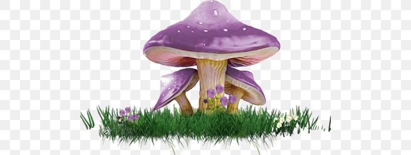 Mushroom Poisoning Clip Art, PNG, 500x310px, Mushroom, Agaricus Arvensis, Common Mushroom, Flower, Fungus Download Free