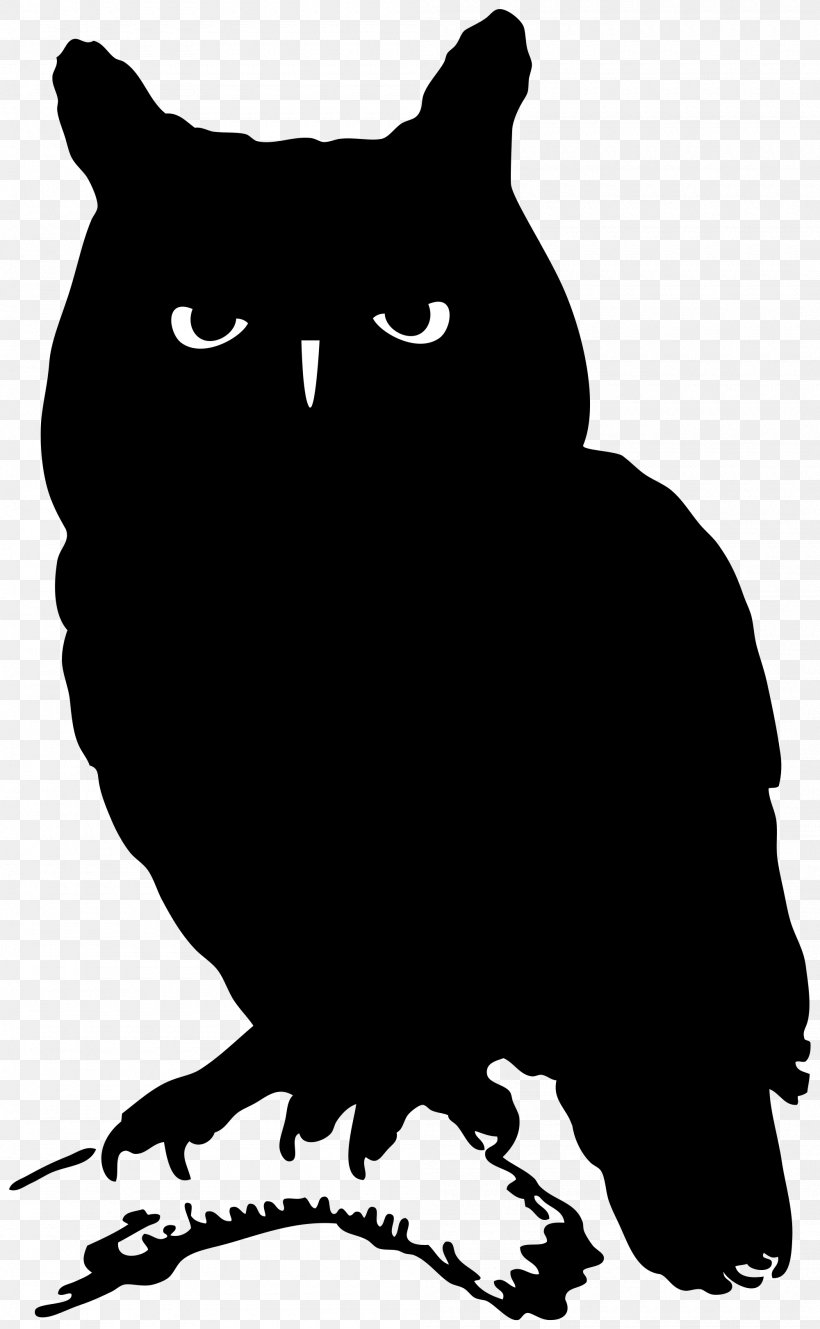 Owl Whiskers Silhouette Bird, PNG, 2000x3242px, Owl, Beak, Bird, Bird Of Prey, Black Download Free