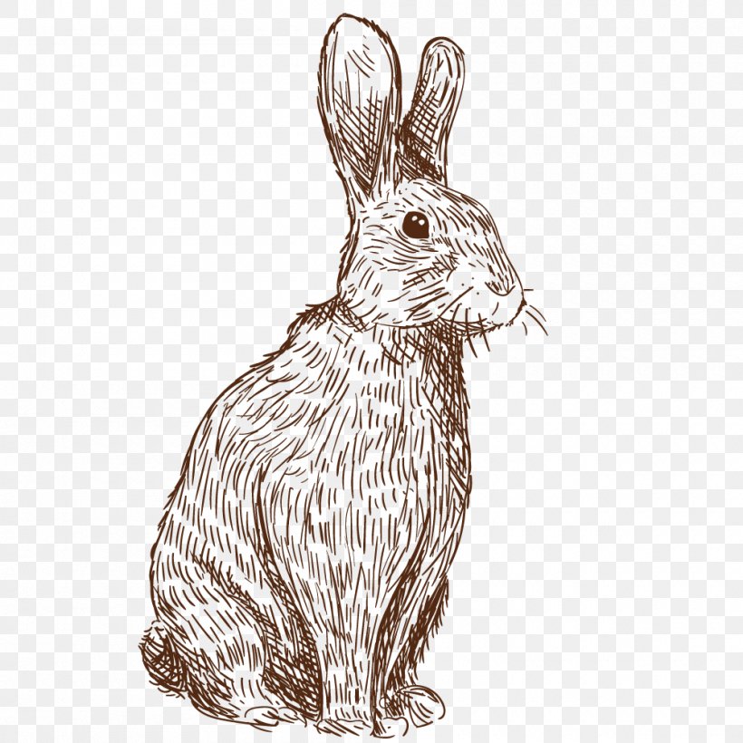 Vector Painted Rabbit, PNG, 1000x1000px, Rabbit, Black And White, Bootstrap, Compiler, Domestic Rabbit Download Free