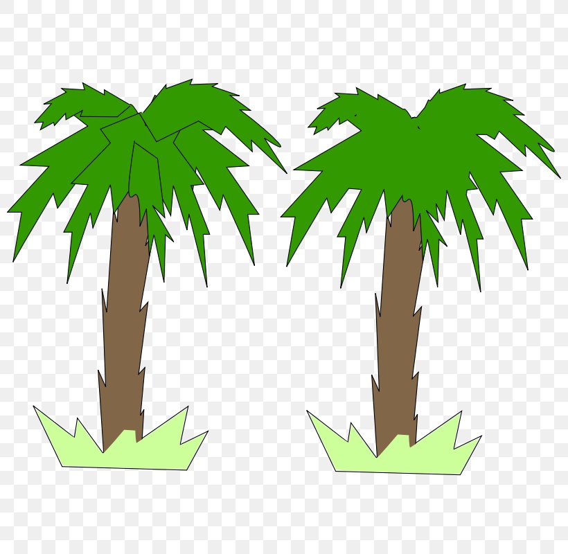Arecaceae Tree Free Content Clip Art, PNG, 800x800px, Arecaceae, Arecales, Blog, Coconut, Flowering Plant Download Free