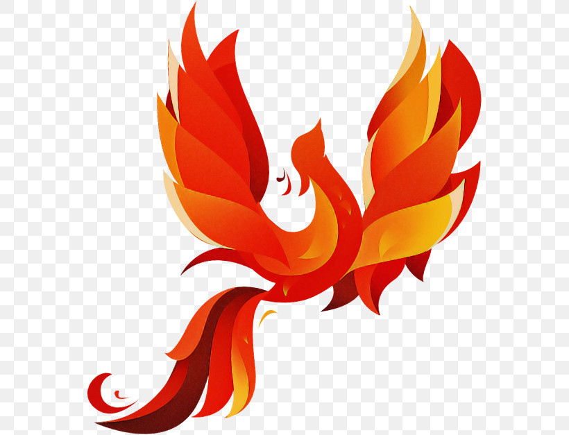 Flame Fire, PNG, 570x627px, Flame, Fire Download Free