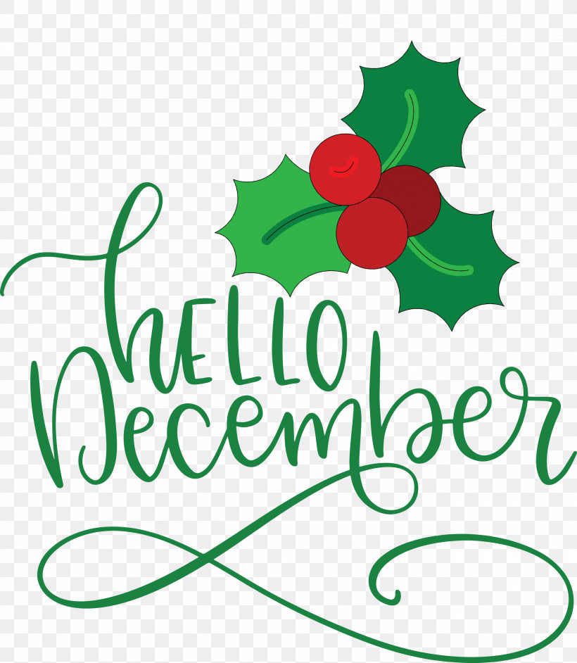 Hello December Winter, PNG, 2610x3000px, Hello December, Fruit, Geometry, Leaf, Line Download Free