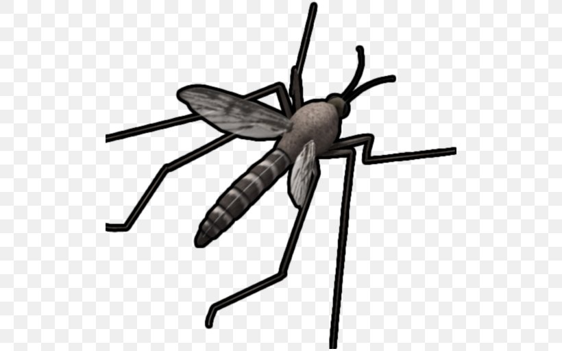 Anti-mosquito Sound Simulator Household Insect Repellents Anti Mosquito, Prank, A Joke Cockroach, PNG, 512x512px, Mosquito, Android, Anti Mosquito Prank A Joke, Antimosquito Sound Simulator, Aptoide Download Free