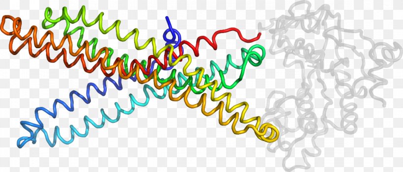 Line Organism Clip Art, PNG, 1171x500px, Organism, Area, Text Download Free