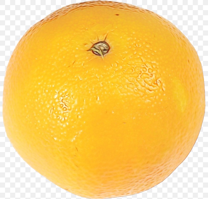 Orange, PNG, 800x785px, Watercolor, Citrus, Fruit, Grapefruit, Mandarin Orange Download Free