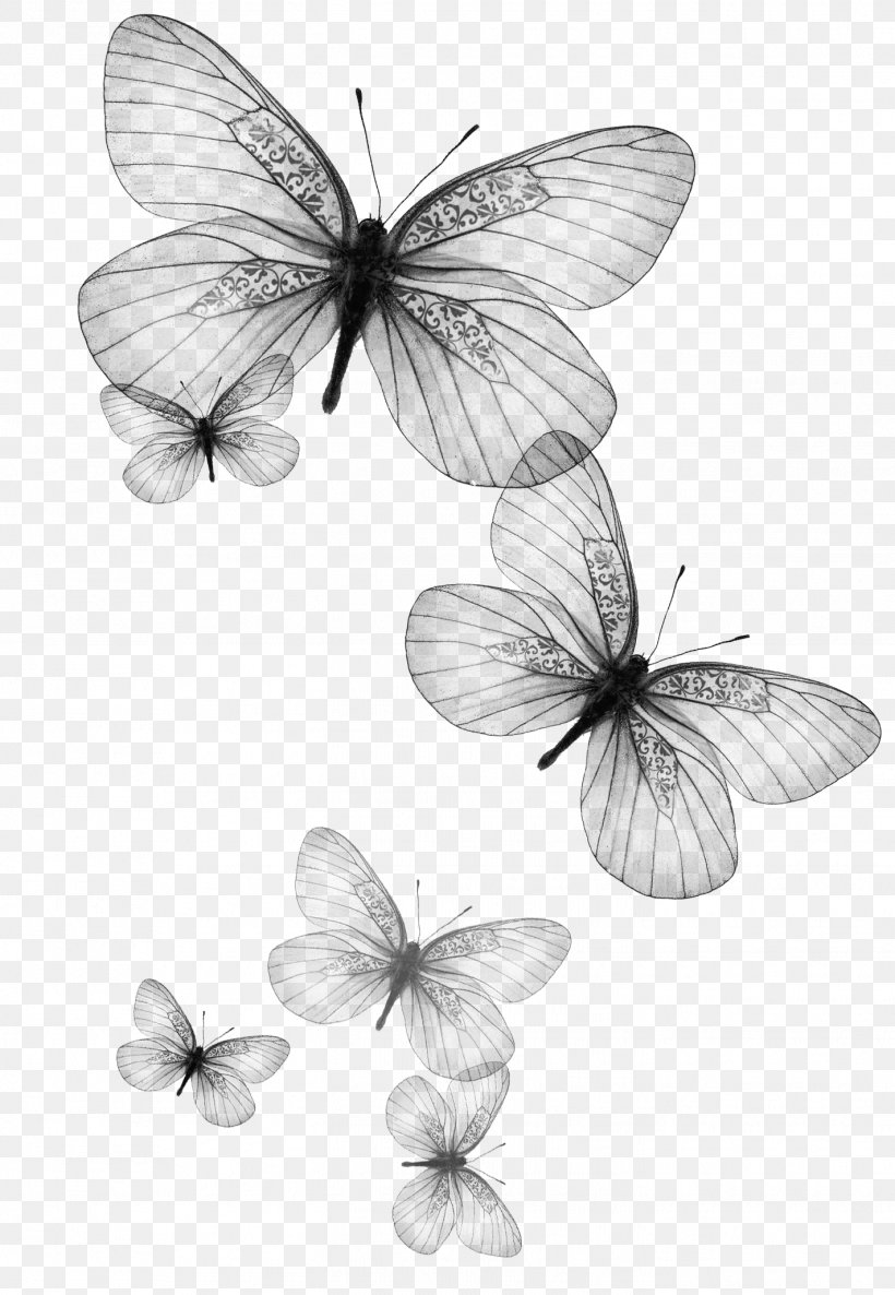 Monarch Butterfly Brush-footed Butterflies Pieridae Moth, PNG, 1422x2057px, Monarch Butterfly, Aporia, Aporia Crataegi, Blackandwhite, Brushfooted Butterflies Download Free