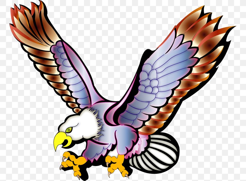 Bald Eagle Águilas Clip Art, PNG, 757x604px, Bald Eagle, Animaatio, Beak, Bird, Bird Of Prey Download Free