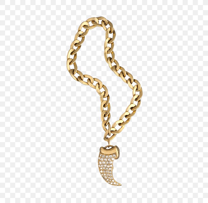 Charm Bracelet Jewellery Charms & Pendants Necklace, PNG, 800x800px, Bracelet, Body Jewellery, Body Jewelry, Chain, Charm Bracelet Download Free