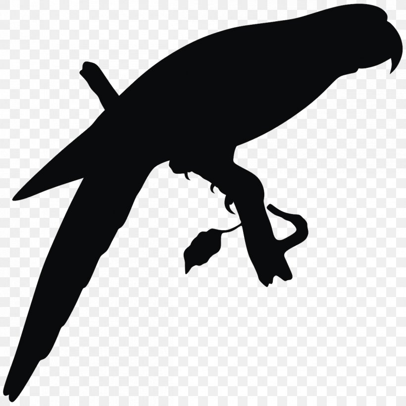 Silhouette Bird Drawing Clip Art, PNG, 1201x1201px, Silhouette, Beak, Bird, Black And White, Cockatoo Download Free