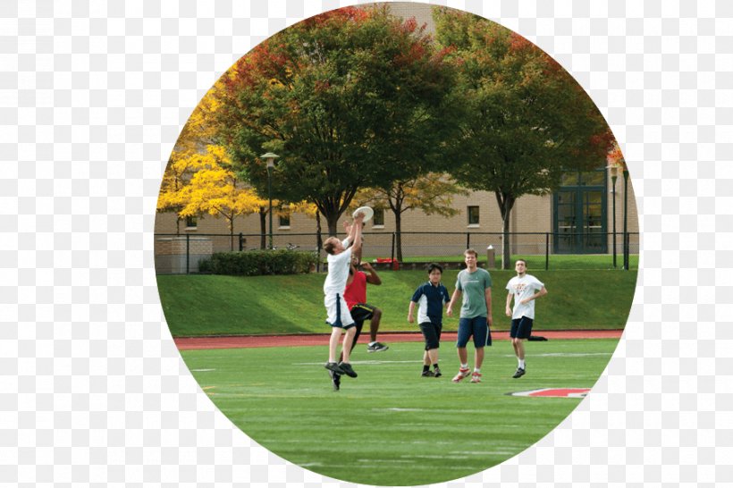 Carnegie Mellon University Carnegie Mellon Tartans Football Game Team