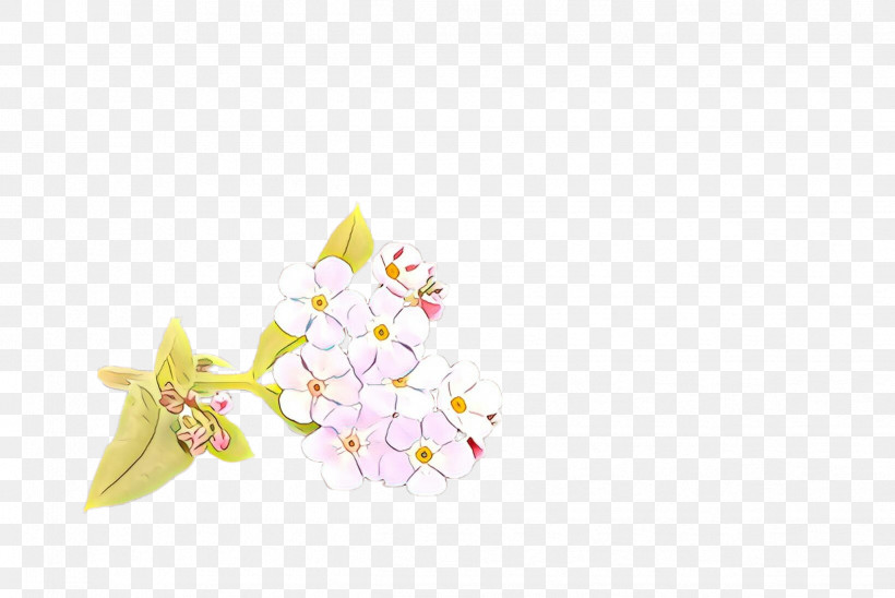 Cherry Blossom, PNG, 2444x1636px, White, Blossom, Cherry Blossom, Cut Flowers, Flower Download Free