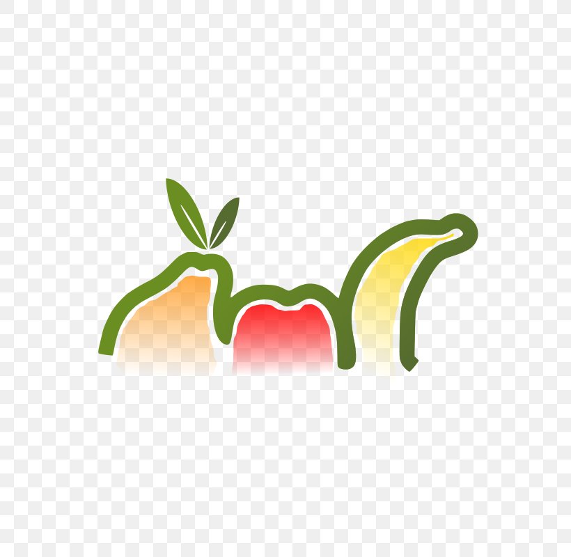 Fruit Free Content Clip Art, PNG, 566x800px, Fruit, Free Content, Grass, Green, Leaf Download Free