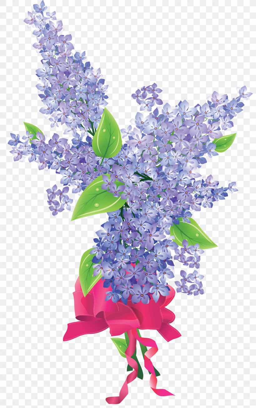 Flower Lavender Lilac, PNG, 1567x2500px, Flower, Branch, Color, Common Lilac, Cut Flowers Download Free