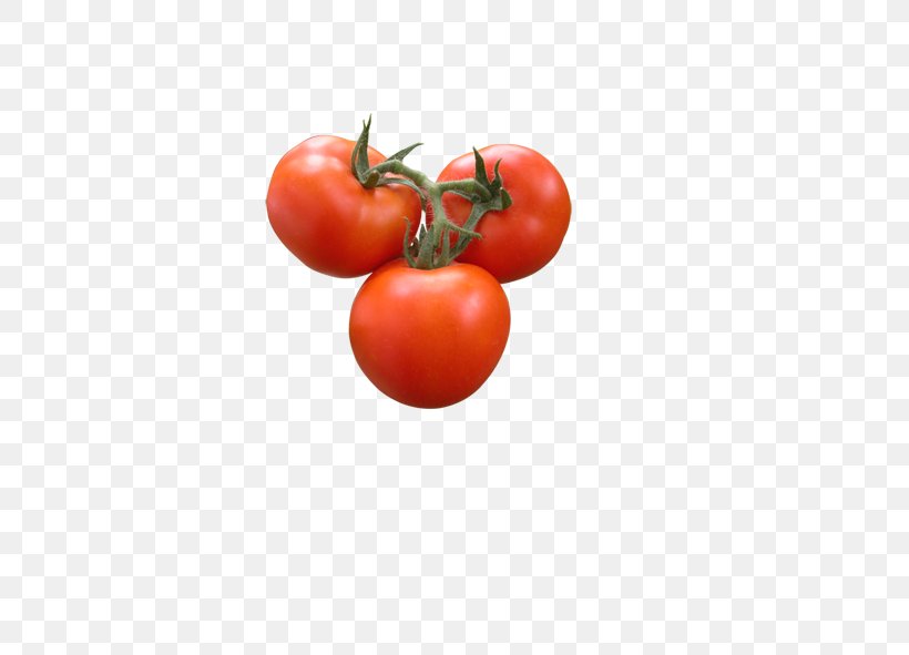 Plum Tomato Vegetable Bush Tomato, PNG, 591x591px, Plum Tomato, Auglis, Bush Tomato, Diet Food, Food Download Free