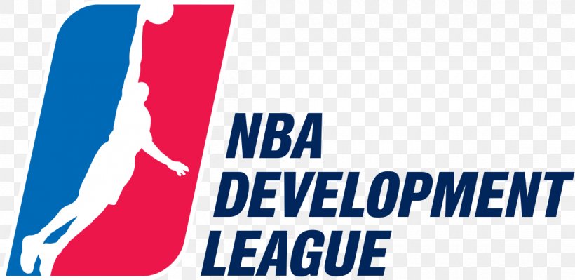Toronto Raptors 2015–16 NBA Development League Season New York Knicks Maine Red Claws, PNG, 1200x585px, Toronto Raptors, Area, Basketball, Basketball Court, Basketball Official Download Free