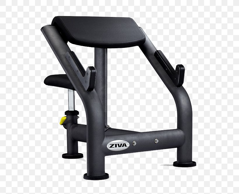 Bench Physical Fitness Fitness Centre Weight Training Strength Training, PNG, 800x664px, Bench, Chair, Exercise Equipment, Exercise Machine, Fitness Centre Download Free