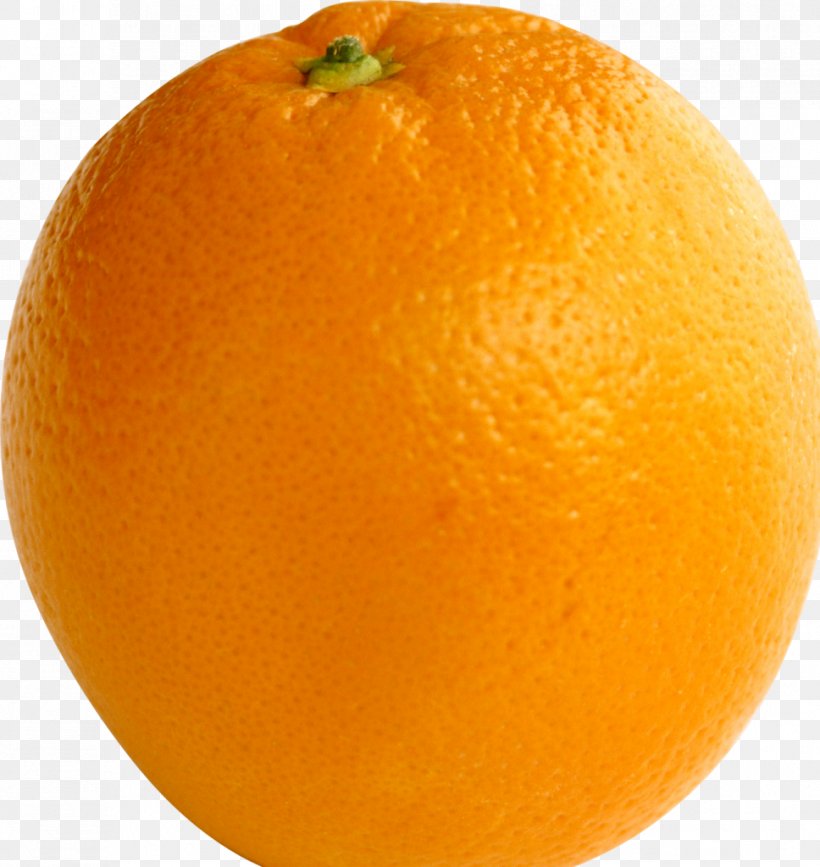 Blood Orange Tangerine Tangelo Clementine Mandarin Orange, PNG, 968x1024px, Blood Orange, Bitter Orange, Blog, Citric Acid, Citrus Download Free