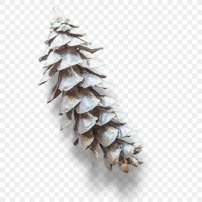 Eastern White Pine Conifer Cone Branch, PNG, 900x900px, Pine, Branch, Christmas Ornament, Christmas Tree, Conifer Download Free
