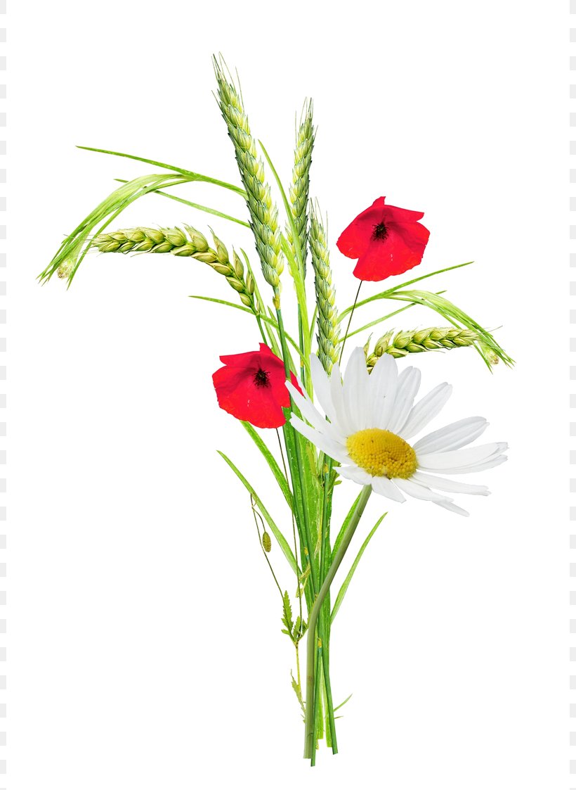 Flower Drawing Image Clip Art, PNG, 802x1123px, Flower, Artificial Flower, Cartoon, Cut Flowers, Drawing Download Free